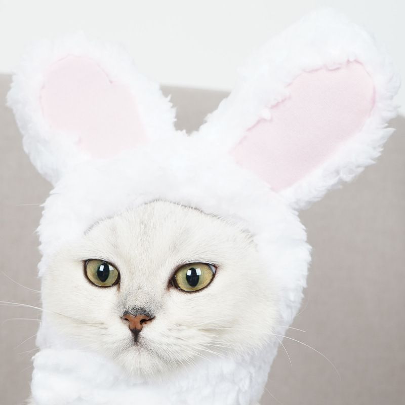 4 Pcs Adorable Bunny Ears Cat Hat - Image 5