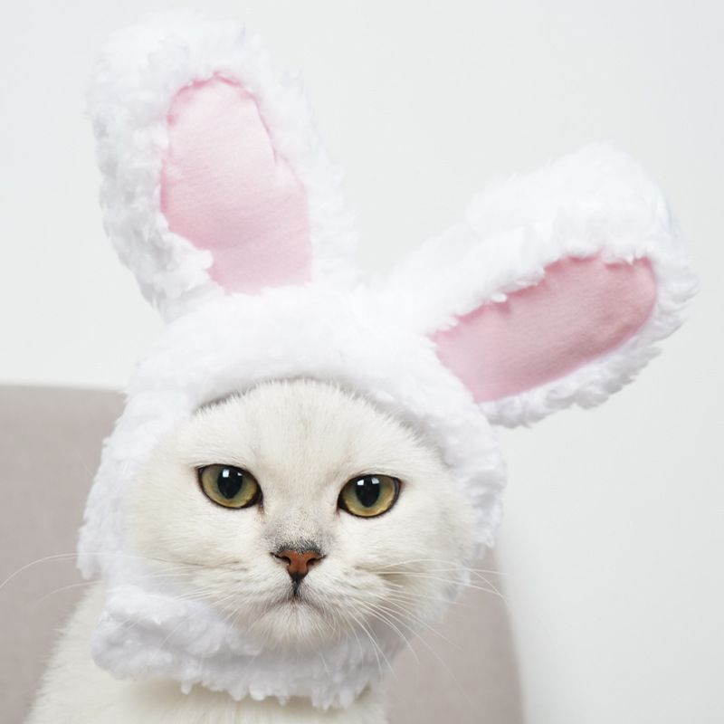 4 Pcs Adorable Bunny Ears Cat Hat - Image 8