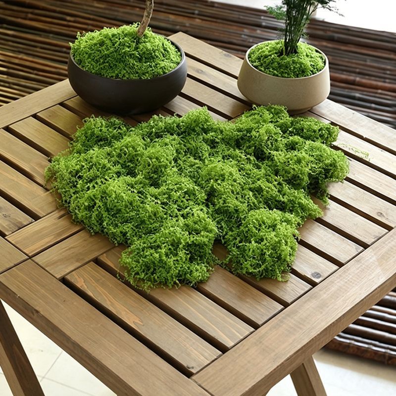 30g Light Green Artificial Moss-2Pcs - Image 1