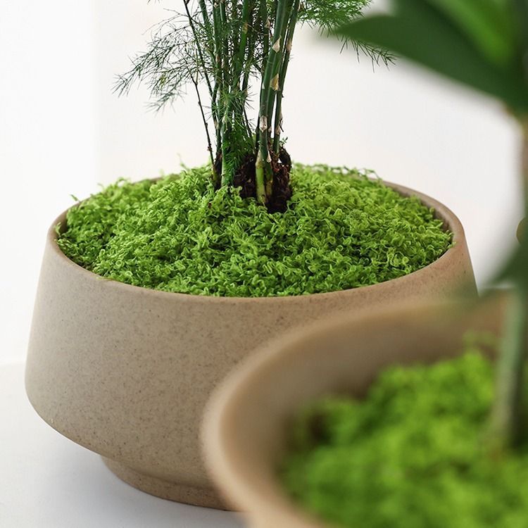 30g Light Green Artificial Moss-2Pcs - Image 2