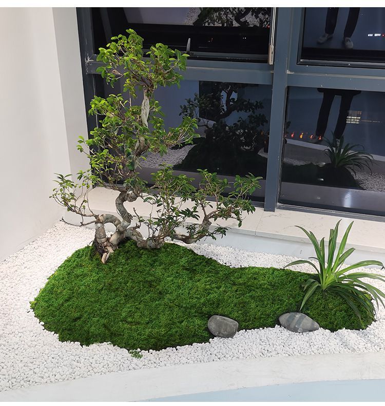 50g Dark Green Artificial Moss - Image 6