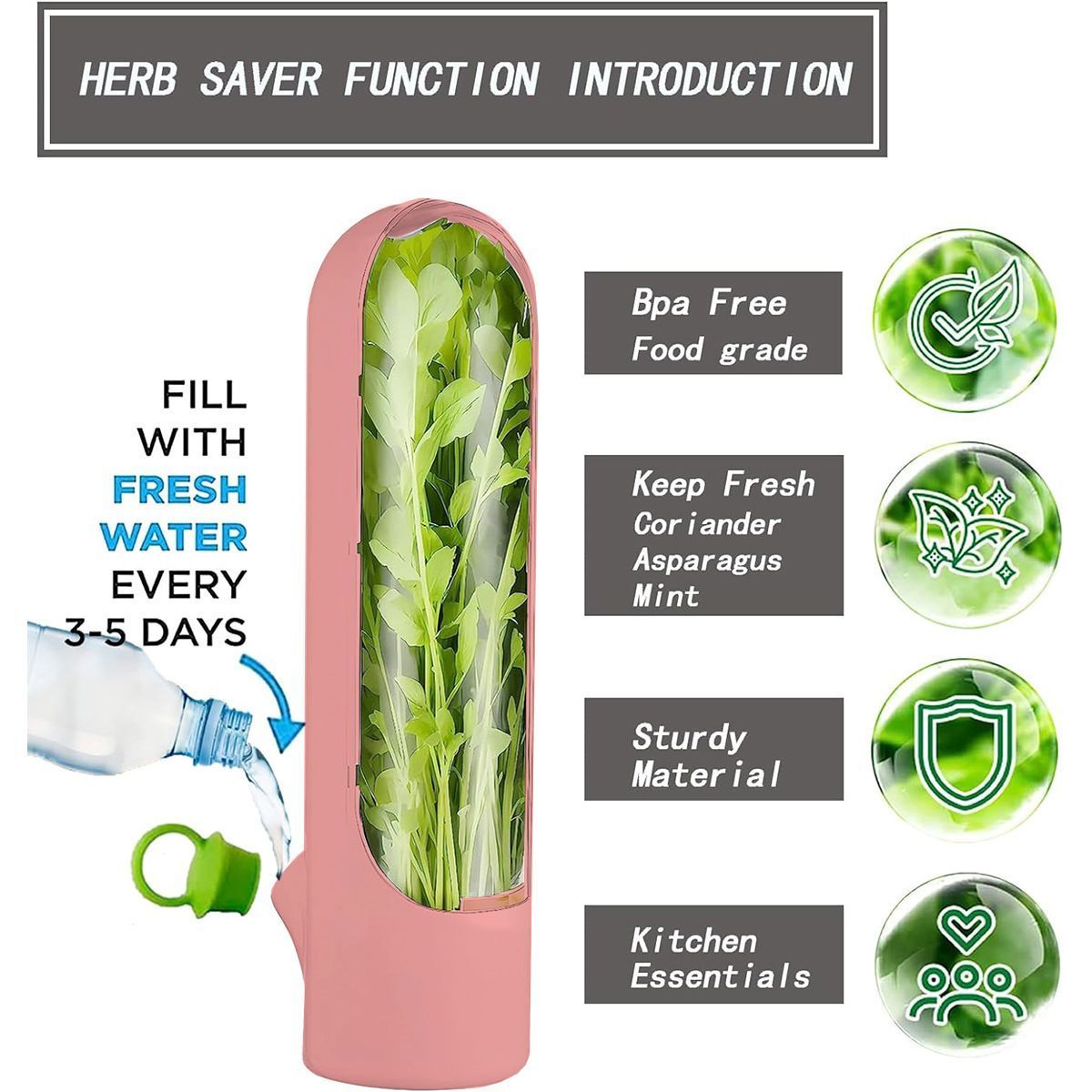4Pcs Herb & Vegetable Fresh Storage Containers-Black - Image 7