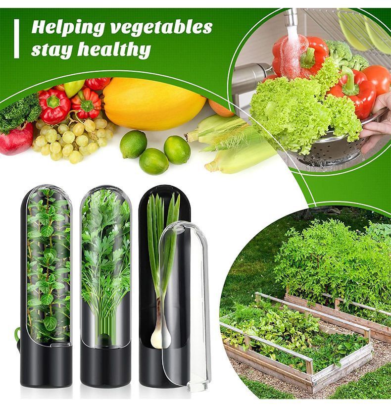 4Pcs Herb & Vegetable Fresh Storage Containers-Pink - Image 3