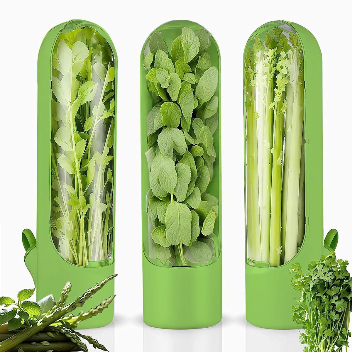 4Pcs Herb & Vegetable Fresh Storage Containers-green - Image 1