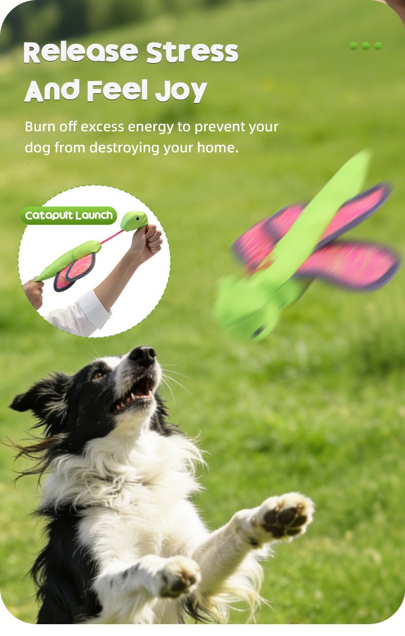 Bouncy Flying Bug (Captain Dragonfly) Pet Interactive Toy: Launch and Sound Effects with 360° Rotation, Bite-Resistant Oxford Fabric for Fun Between Pets and Owners - Image 6