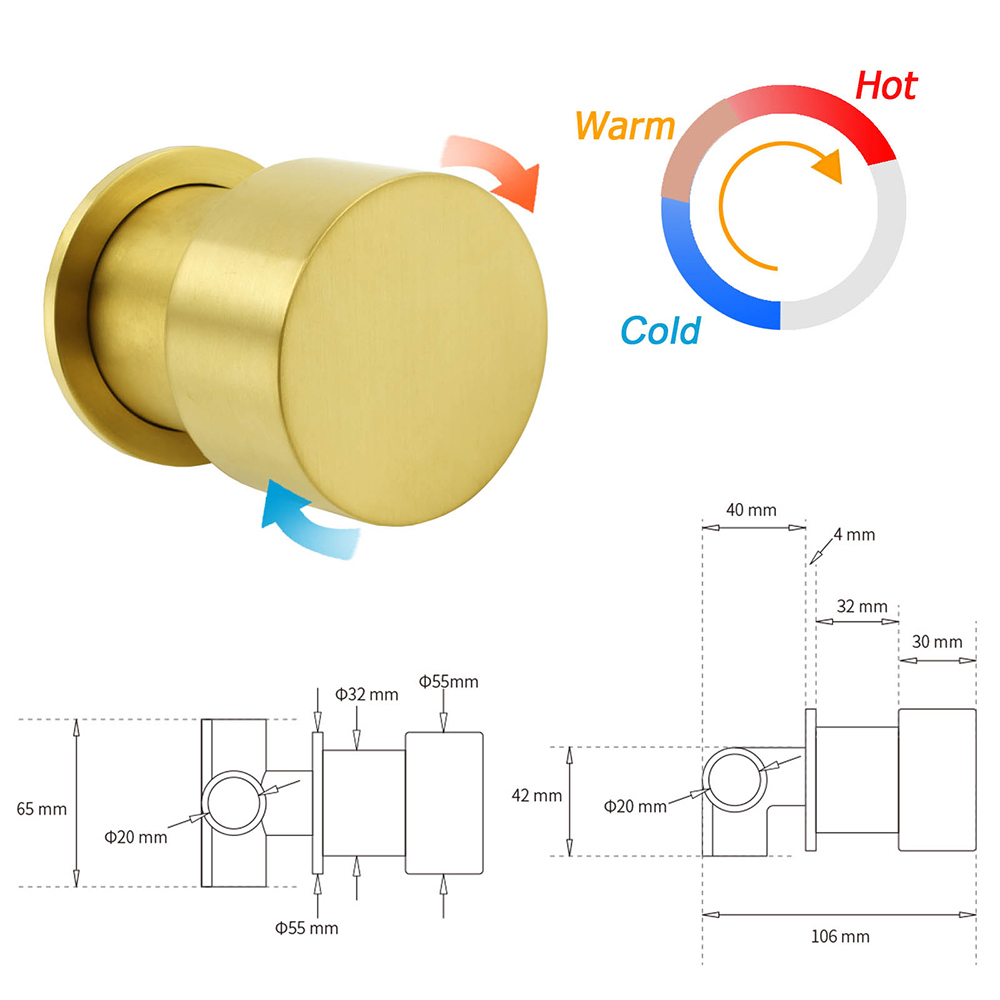 Brushed Gold Twin Shower Large Round 12