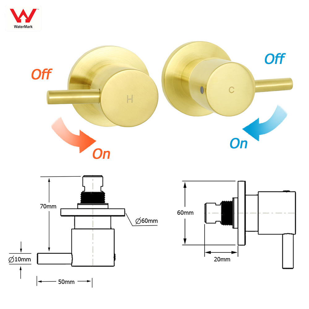 Brushed Gold 2in1 Shower Set 8