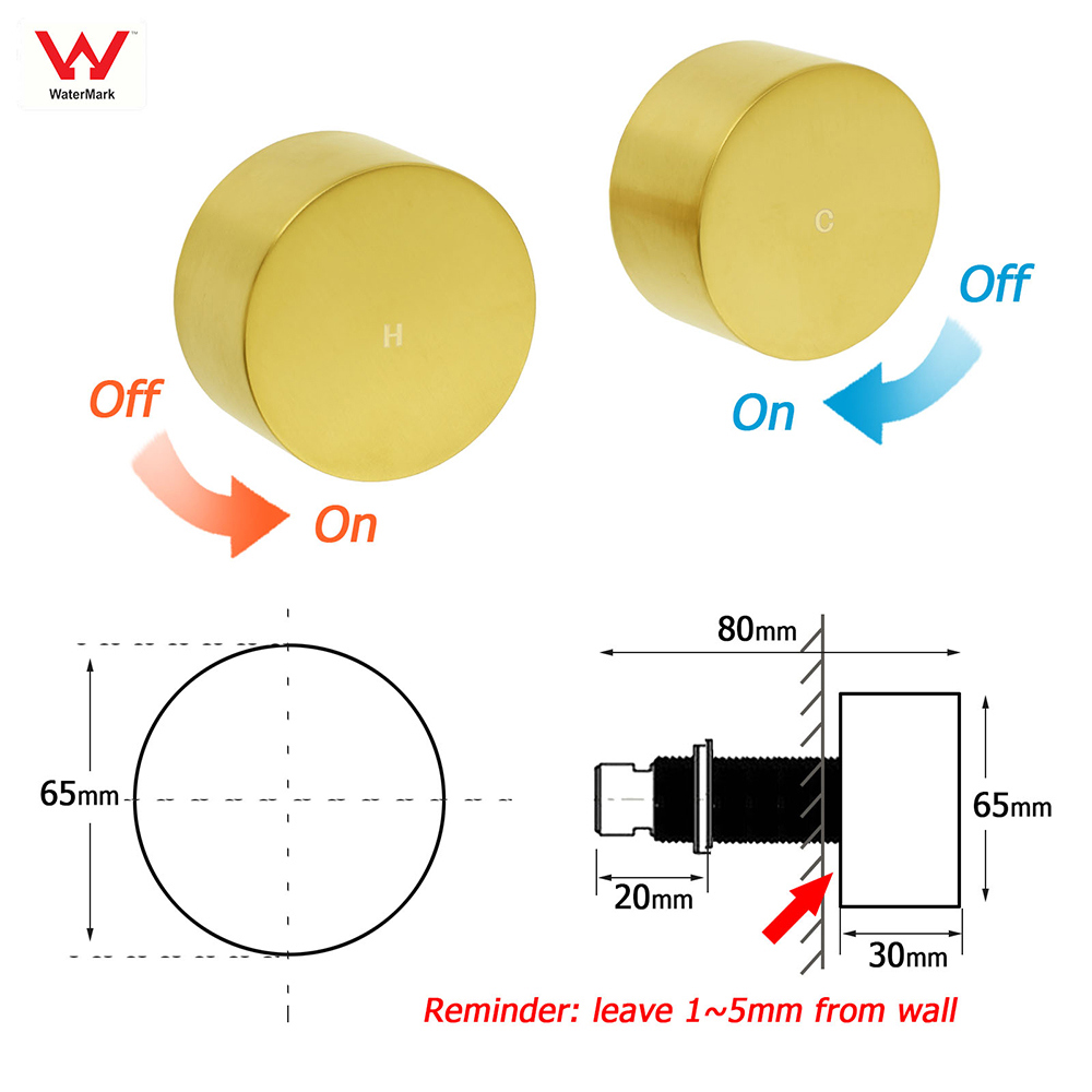 Brushed Gold Dual Shower Set 8