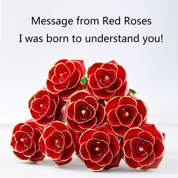 24K Gold Plated Rose, Dried Flower Kit with Gift Box and Display Stand, Rose Red - Image 4