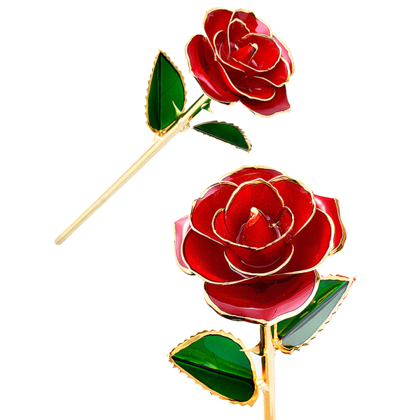 24K Gold Plated Rose, Dried Flower Kit with Gift Box and Display Stand, Rose Red - Image 5