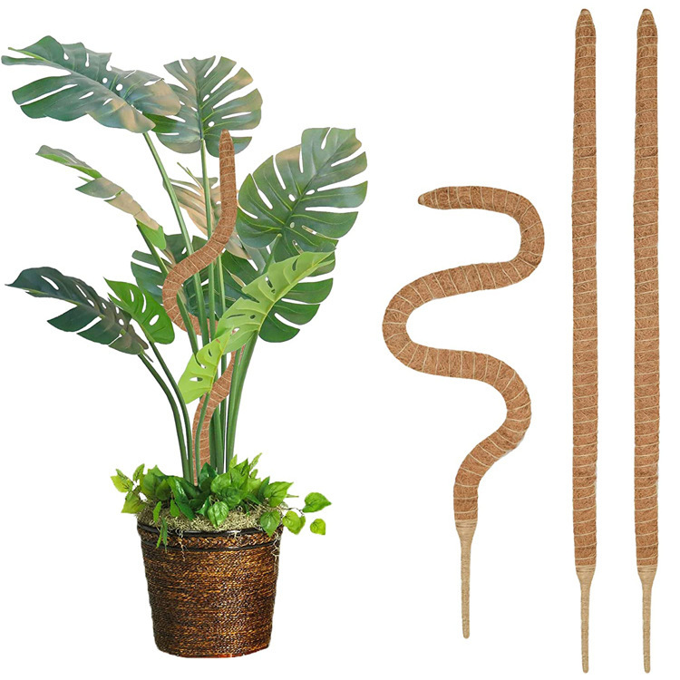 pcs Monstera moss pole for potted plants, bendable plant support - Image 3