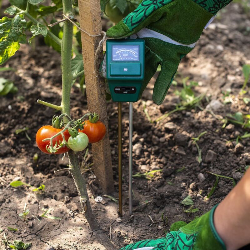 3-in-1 Soil pH Meter Soil Test Kit Plant Moisture Meter PH Soil Meter for Flowers/Grass/Plant/Garden/Farm/Lawn 2905038MM - Image 3