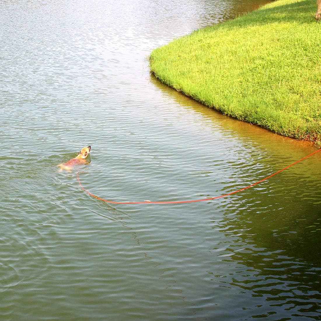 Cord Dog Leash Long Leash Training Rope Comfortable Handle - Image 4