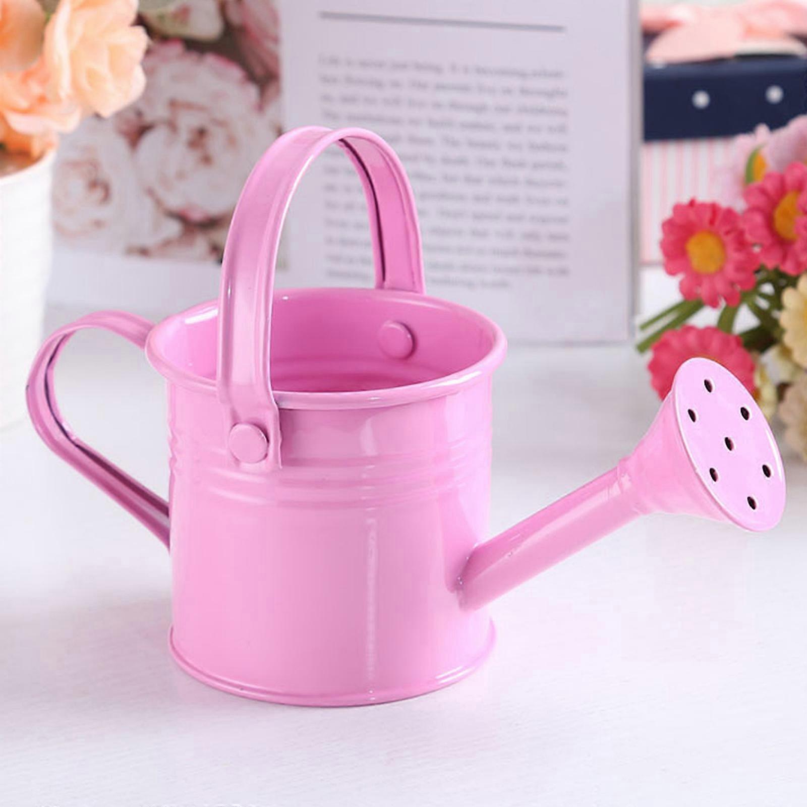 100% New, Mini Iron Watering Can, Spray Bottle, Metal Forging with Handle, Sprinkler Shower Pink - Image 1