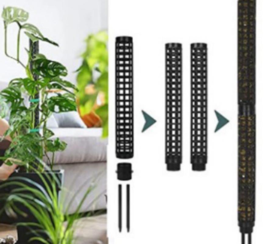 Moss stakes for climbing plants Black Variety - Image 3