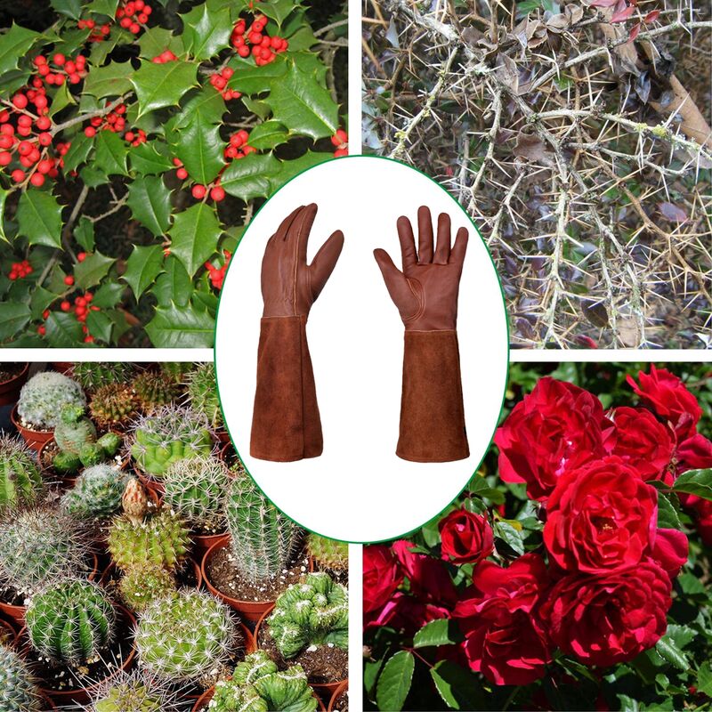 Thorn-proof gardening gloves for women, long gardening gloves, rose pruning gloves for women - Image 5