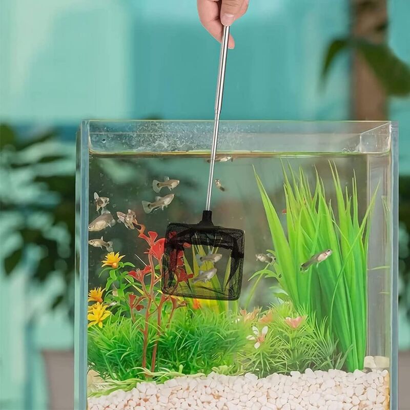 Adjustable Telescopic Fishing Net for Aquarium, Extendable Handle Fishing Landing Net, Mini Foldable Net for Aquarium, 1 Pack - Image 5