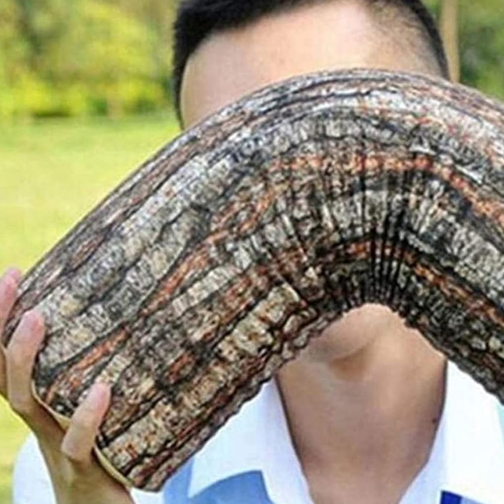 Creative natural wood design log soft chair cushions pillows round wood grain stump shaped decorative pillows pillowcase home decor - Image 3