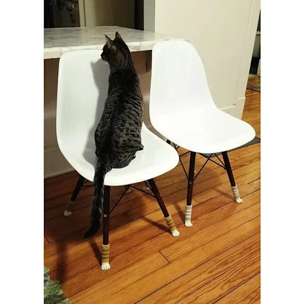 24 Cute Cat Foot Chair Socks Chair Leg Protectors Floor Protectors Anti-Scratch Anti-Sound 24 PCS (6 sets) - Image 4