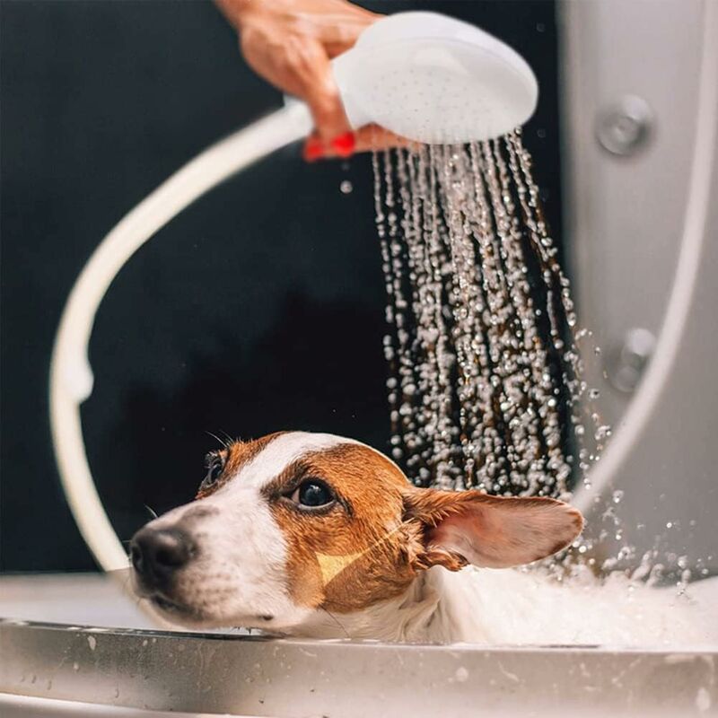 Single Shower Head for Bathroom Sink or Toilet Basin, Shower Hose, Quick Connect Single Shower Mixer, Shampoo for Children and Pets - Image 4