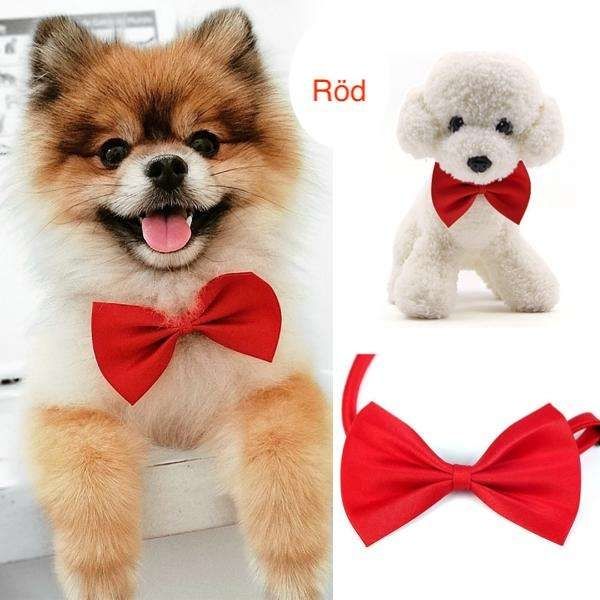 Christmas Dog Cat Bow Tie Collar, Red - Image 1