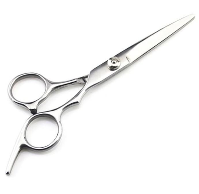Hairdressing Scissors Stainless Steel Silver - Image 1