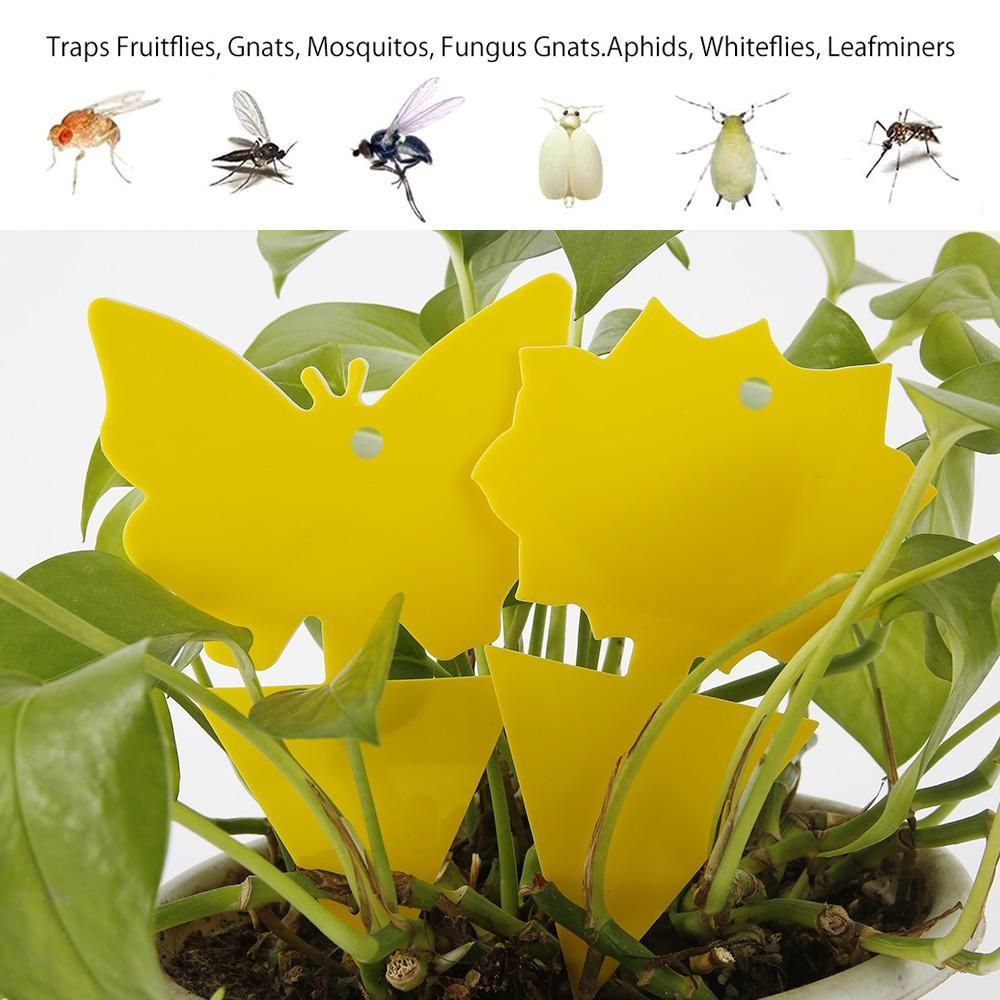 20-pack Fly Trap Flycatchers, Effective Butterfly Control - Image 2