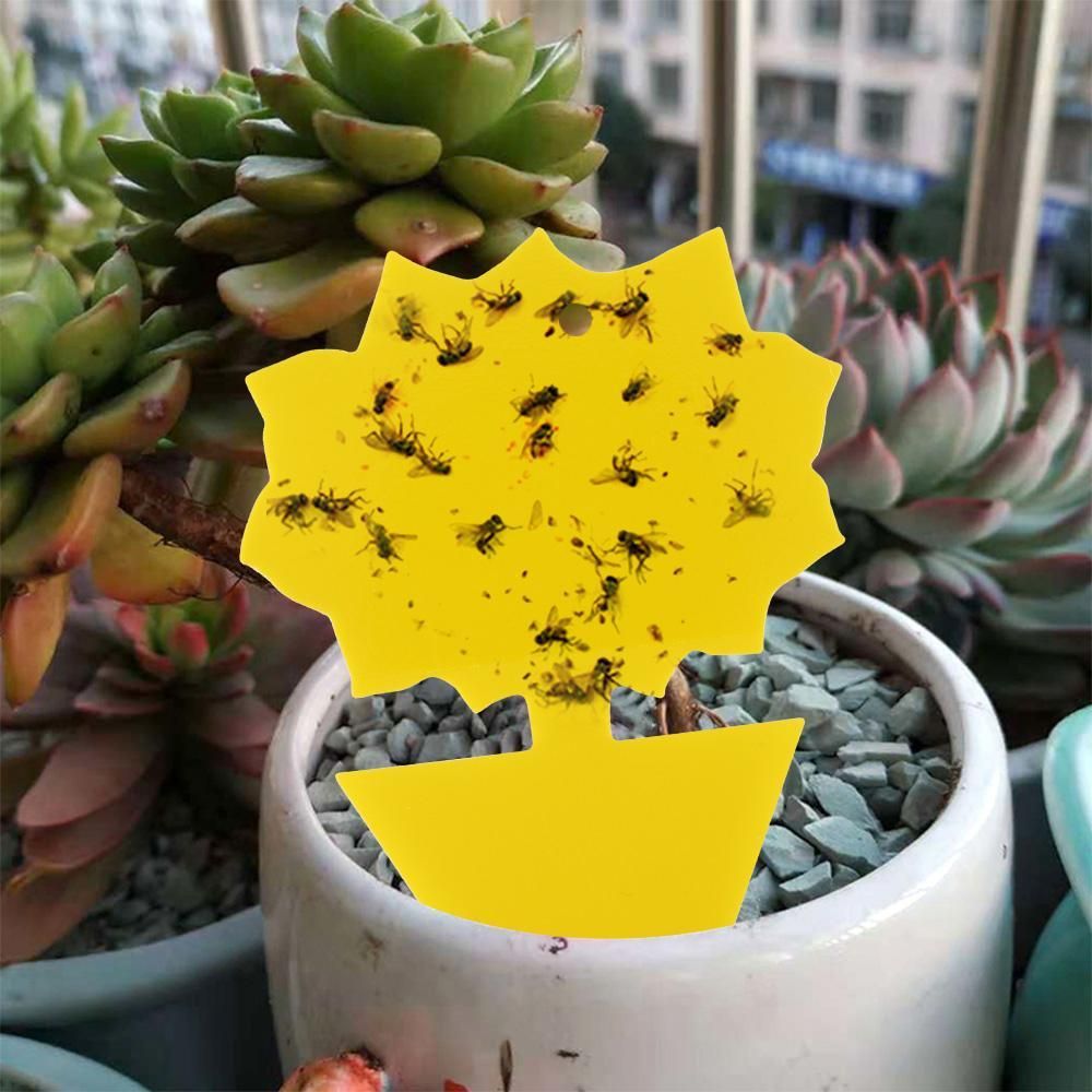 20-pack Fly Trap Flycatchers, Effective Butterfly Control - Image 4