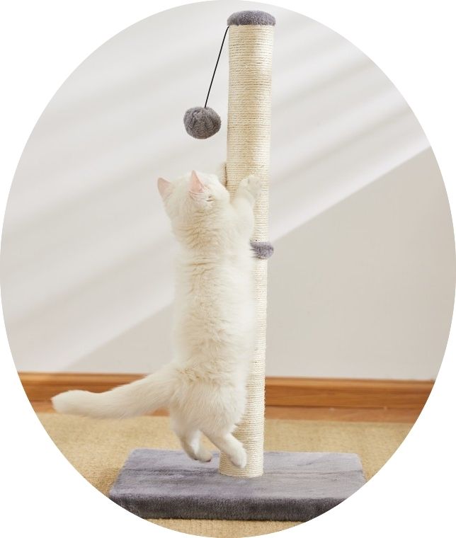 Cat Scratching Post Tree, MultiColor - Image 6
