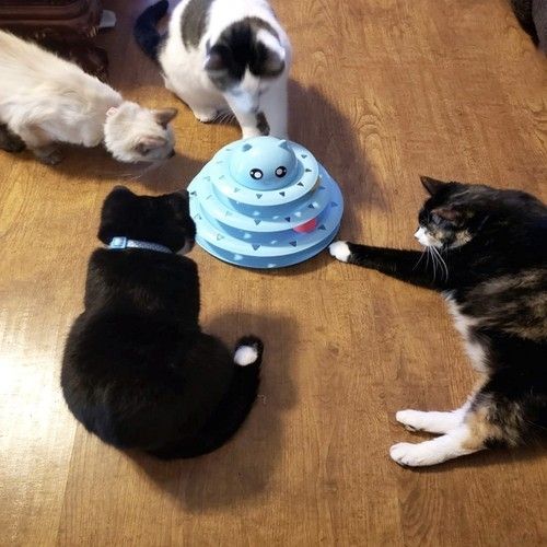 Cat Toy Activation Ball Tower for Cats, Blue - Image 4