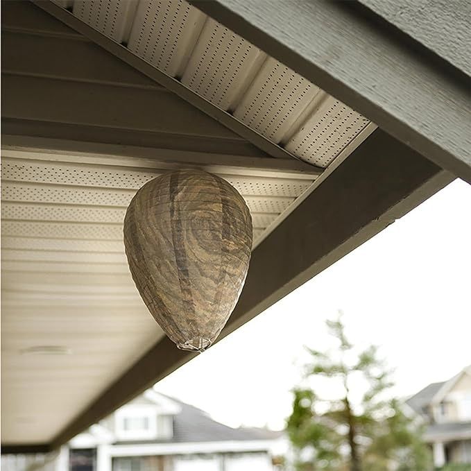 2pcs Non-Toxic Paper Wasp Traps & Bee Deterrent, for Wasp Nest Removal - Image 4