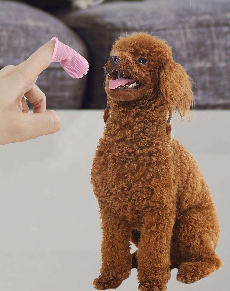 Pet Finger Toothbrush Dog Teeth Cleaning, MultiColor - Image 4