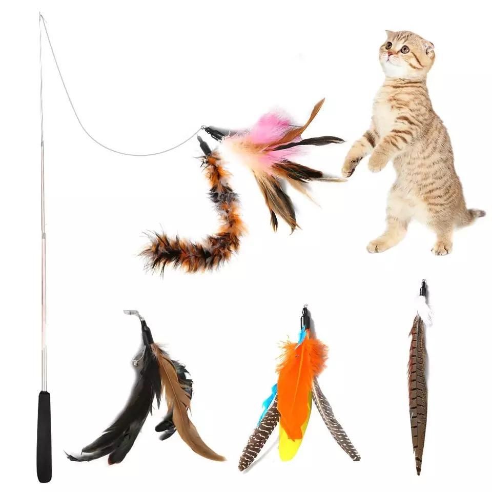 5pcs MultiColor Cat Toys with Springs, Telescopic - Image 1