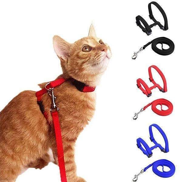Adjustable Cat Harness in Blue, for Comfortable and Secure Walks - Image 1