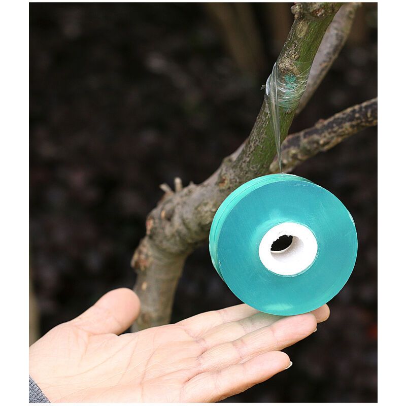 100cmx2cm Stretchable Adhesive Tape Moisture Barrier Tape for Grafting Plant Repair Transparent - Image 4