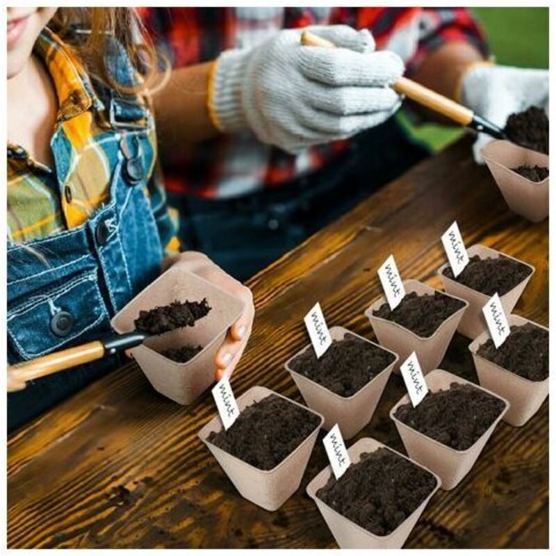 120 Pieces Biodegradable Seedling Pots, Biodegradable Pots, Biodegradable Seedling Pots for Seedlings, for Seedling Herbs, Flowers, Vegetables - Image 4