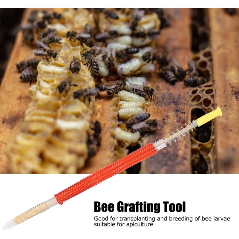 25 Pcs Beekeeping Larvae Grafting Needles Queen Bee Rearing Tool Beekeeping Equipment - Image 3