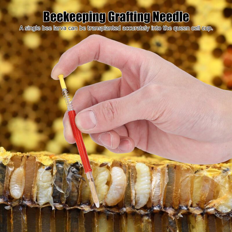25 Pcs Beekeeping Larvae Grafting Needles Queen Bee Rearing Tool Beekeeping Equipment - Image 4