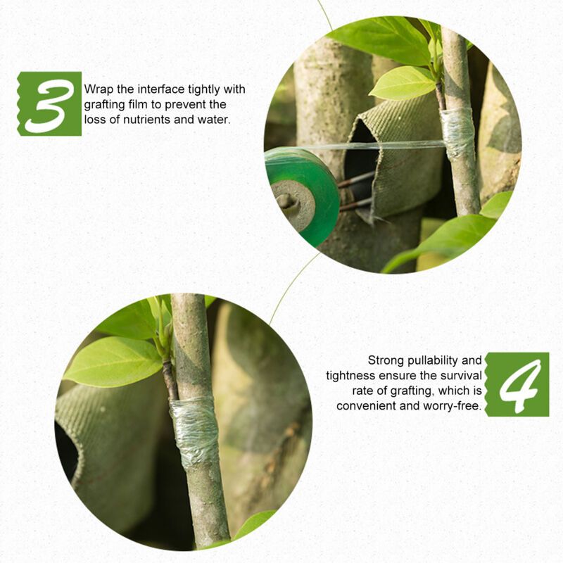 Grafting Tape Garden Tree Stretch Film Self-Adhesive Waterproof for Fruit Trees - Image 4