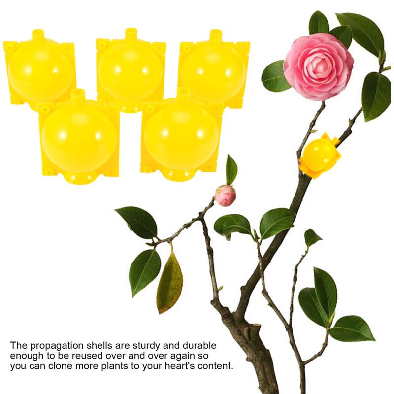 5 Sets Reusable Plant Grafting Cutting Rooting Device High Pressure Propagation Ball for Various Plants Yellow - Image 3