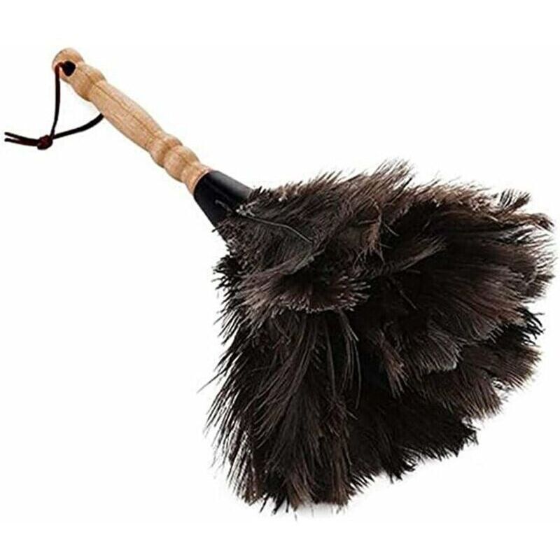 Feather Dusters for Home and Office, Ostrich Feathers, Ostrich Feather Dusters, Natural Ostrich Feathers - Image 1