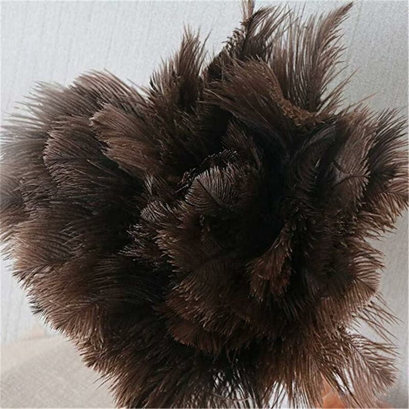 Feather Dusters for Home and Office, Ostrich Feathers, Ostrich Feather Dusters, Natural Ostrich Feathers - Image 3