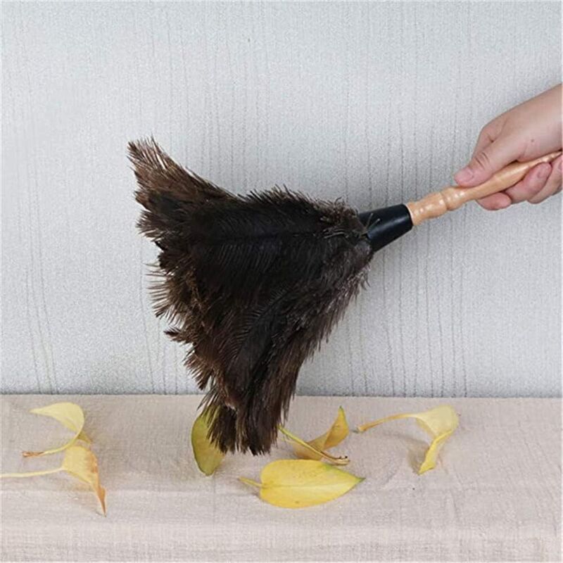Feather Dusters for Home and Office, Ostrich Feathers, Ostrich Feather Dusters, Natural Ostrich Feathers - Image 4