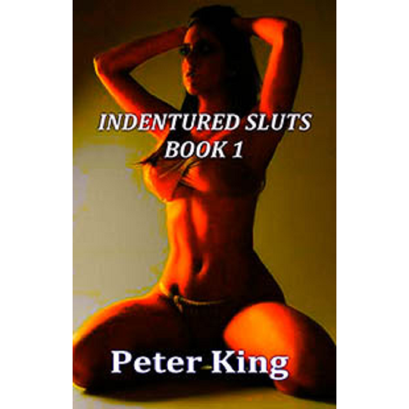 House Of Dasein Indentured Sluts - Book 1 By Peter King 2018 Male Dom M/F Spanking And Bondage - Paper Back - Image 1