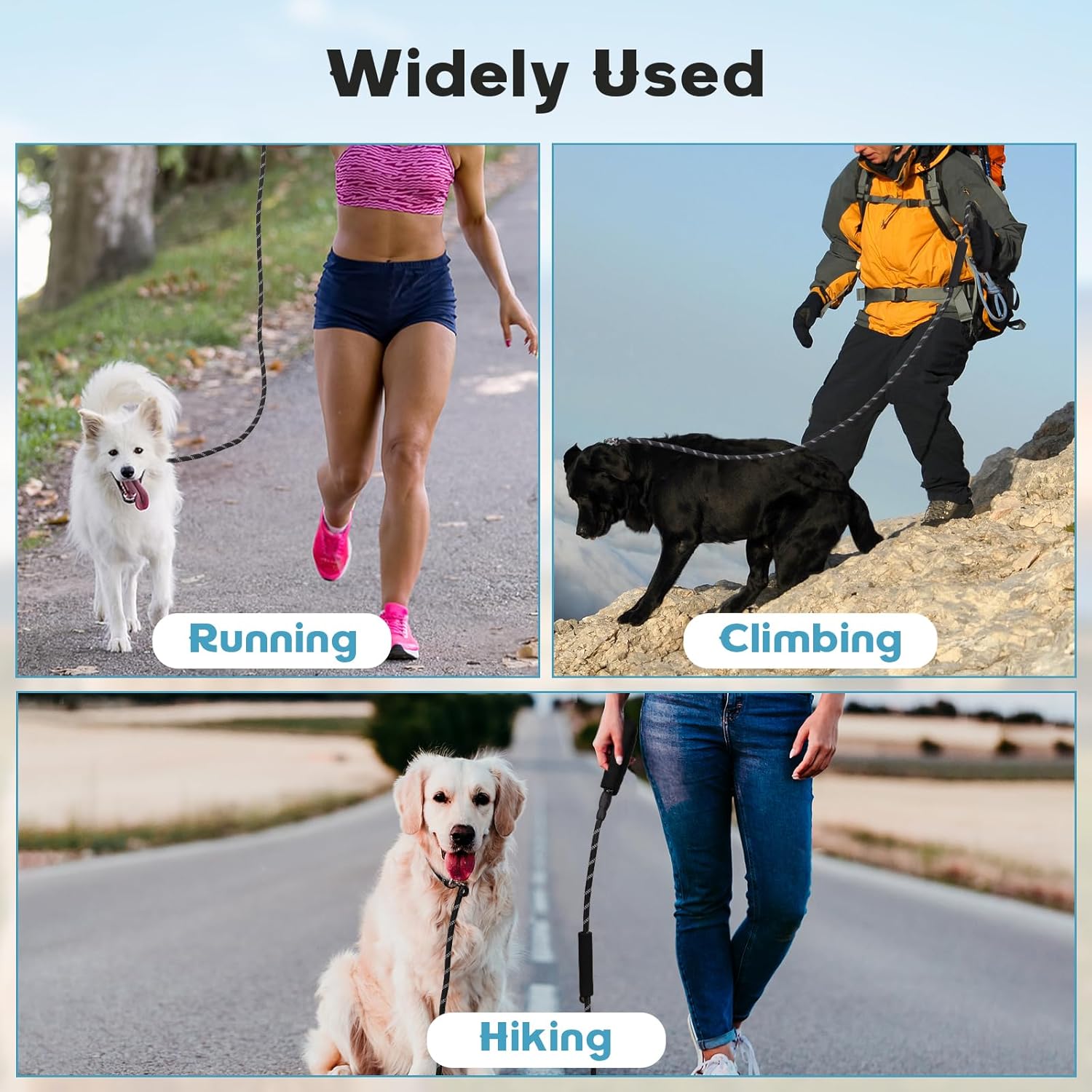 Dog Leash 6 FT with Comfortable Padded Handle, Training Loop Leash with Highly Reflective Threading for Medium Dogs, Black - Image 6