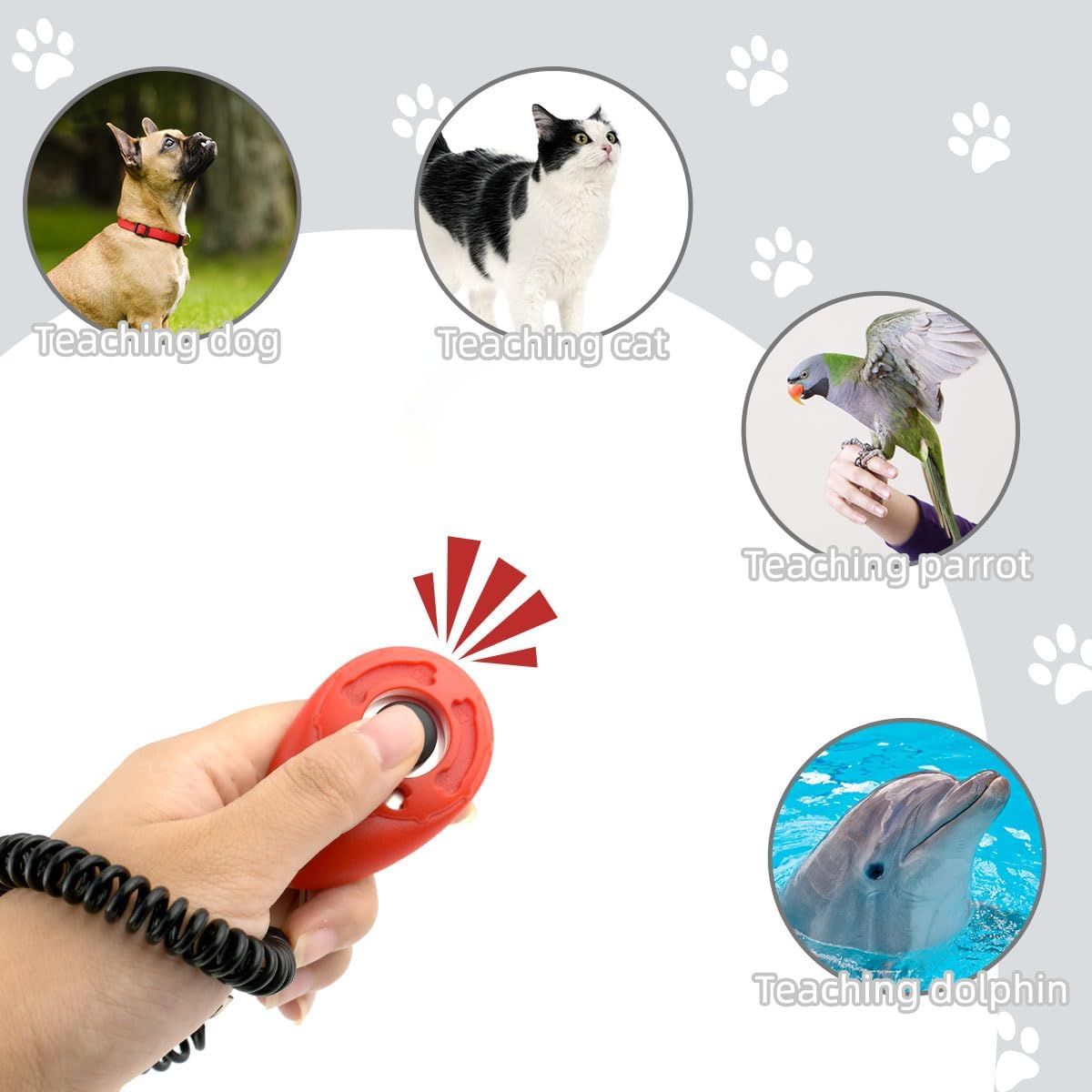 Petluno 4 Pieces Pet Training Clicker with Wrist Strap and Dog Treat Pouch for Puppy Cats Birds Kit Behavioral (White, Red, Orange, Blue) - Image 5