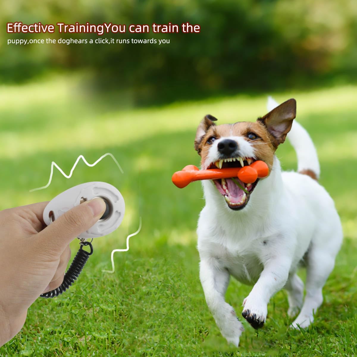 Petluno 4 Pieces Pet Training Clicker with Wrist Strap and Dog Treat Pouch for Puppy Cats Birds Kit Behavioral (White, Red, Orange, Blue) - Image 6