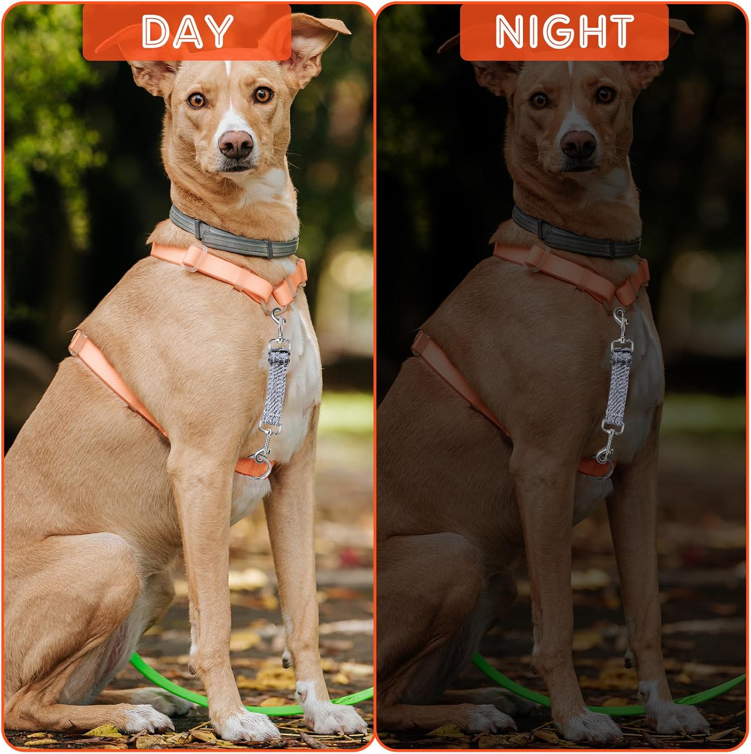 2 PCS Prong Collar Safety Clip Leash to Prong Collar Connector Dog Leash Connector Harness to Collars Safety Clip Reflective Double Ended Backup Clasp for Dog Pinch Collars - Image 5
