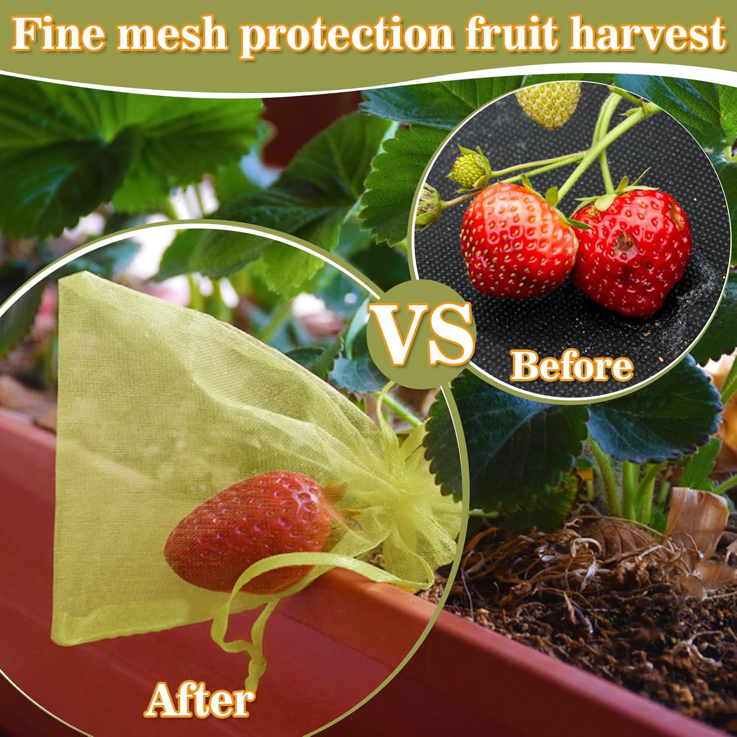 50PCS Fruit Protection Bags - 6