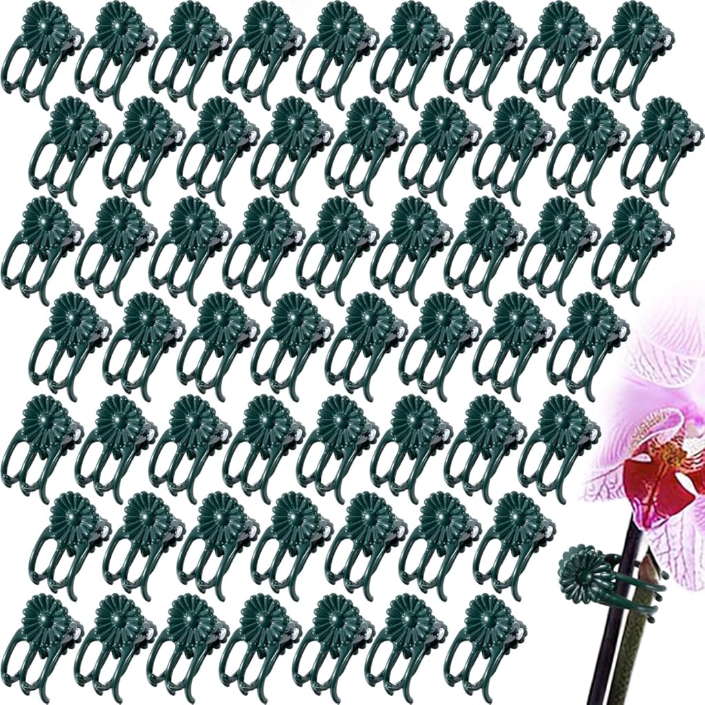 60pcs Orchid Clips for Plants Support, Plant Orchid Support Clips, Vine Tools Supports for Garden Climbing Stems Vines Climbing Plants- Dark Green - Image 1